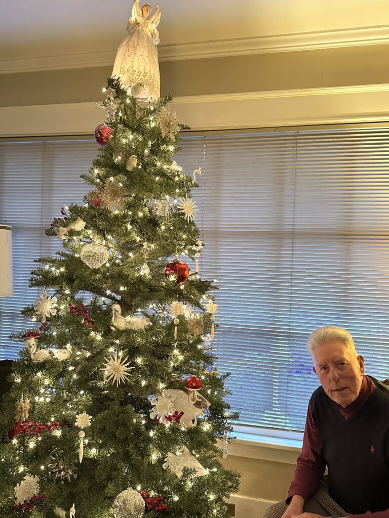 Man sitting beside decorated Christmas tree