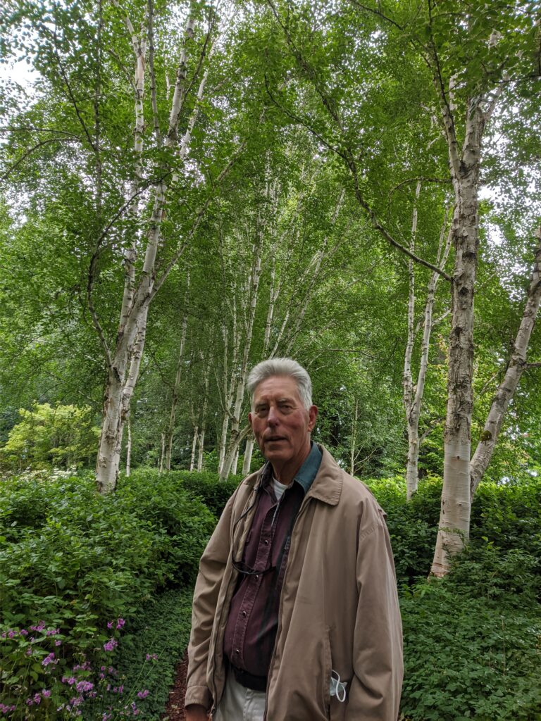 Man wearing jacket walks in grove of birch trees